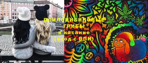 синтетический гашиш Елизово