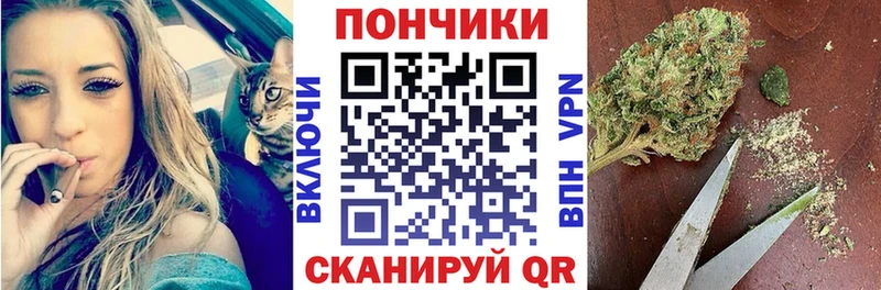 Шишки марихуана OG Kush  кракен зеркало  Волгодонск 